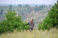 李云生的人树不了情