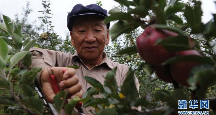 铺展&ldquo;绿飘带&rdquo;　缠上&ldquo;红腰带&rdquo;