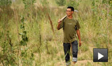 马波:逐绿的人生不寂寞