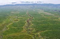 "人进沙退"逆袭"沙逼人退"