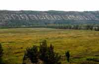 塞上榆林实现&ldquo;绿色转身&rdquo;