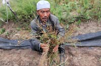 野生动物与民&ldquo;争&rdquo;利