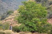 护林员李强的&ldquo;罗山之恋&rdquo;