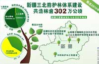 新疆三北防护林体系建设成果