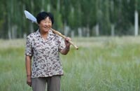 与沙漠的&ldquo;三十年战争&rdquo;