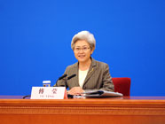 十二届全国人大三次会议副秘书长、发言人傅莹