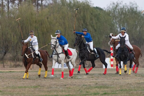 第五届上海国际马球公开赛举行