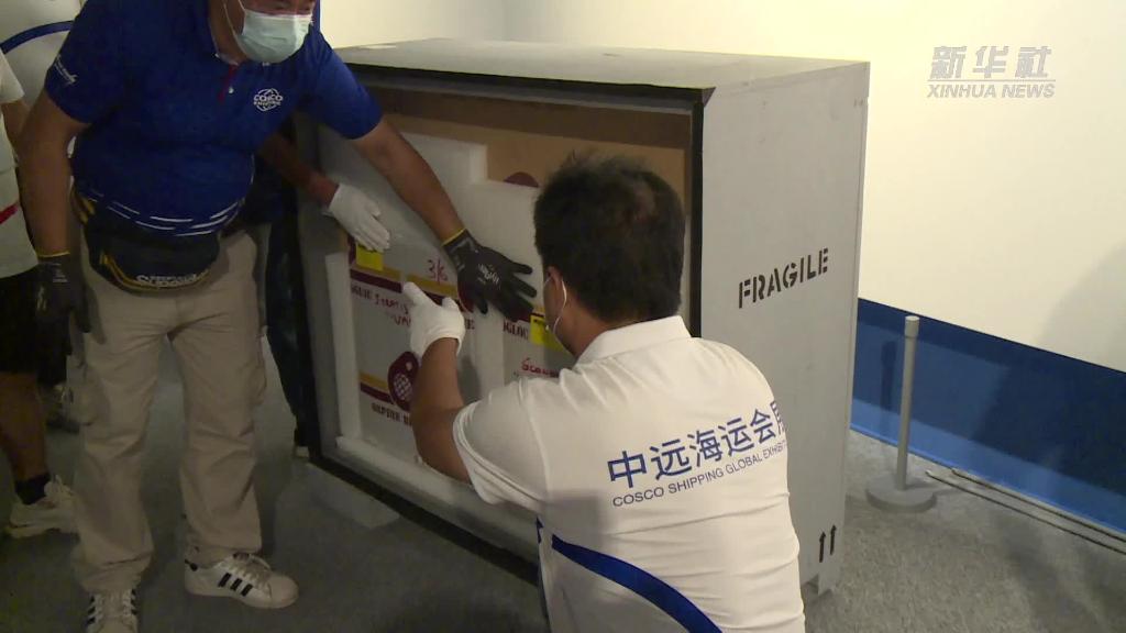 &ldquo;塔拉萨：海洋文明与希腊艺术展&rdquo;即将在沪开幕