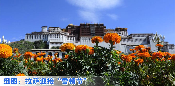 200岁柳树自燃图片