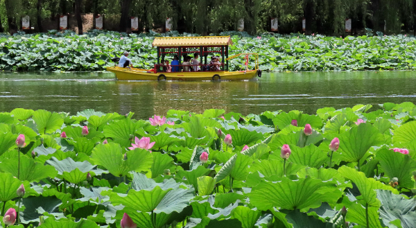 暑期旅游将过半，旅游市场释放出了哪些新信号