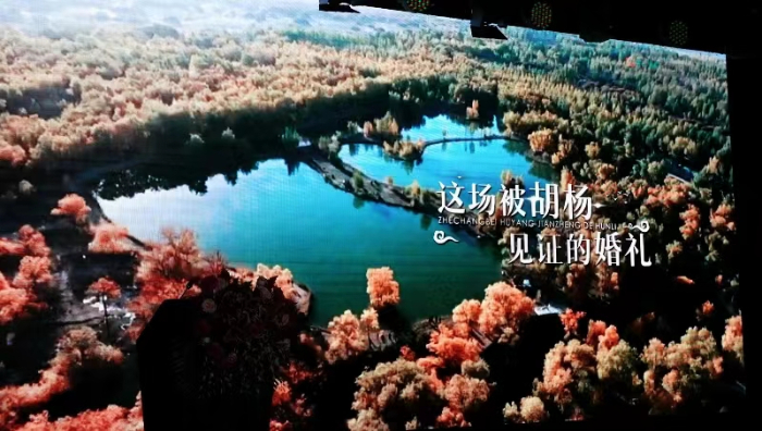 阿拉善盟2023年“遇见醉美金秋”文化旅游系列活动在京发布