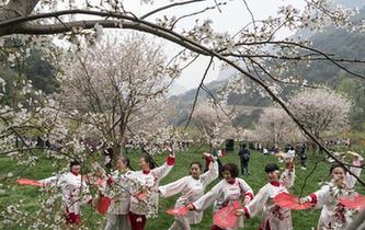 湖北兴山：浪漫&ldquo;花溪&rdquo;