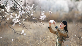 河北内丘：春分时节享春光