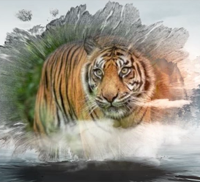 《国家公园》第二集：体制试点（上）