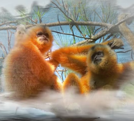 《国家公园》第四集：展望