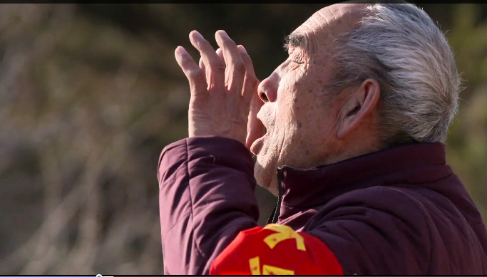 【短视频】护林员巡山护林 用绿色反哺大山