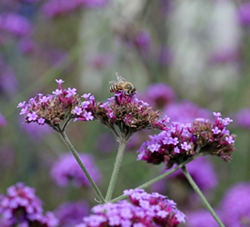 &ldquo;五一&rdquo;出游这些信息需提前了解