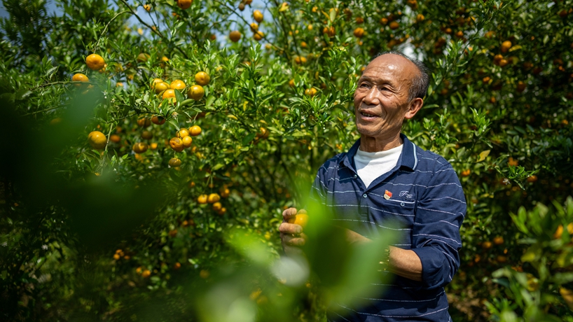 战山斗山,一代又一代“石漠愚公”书写传奇