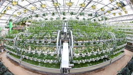 &ldquo;中国蔬菜之乡&rdquo;律动种业&ldquo;中国芯&rdquo;