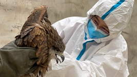 &ldquo;给动物一个温暖的家，用爱照亮前行的路&rdquo;