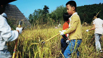 吉林：国庆游&ldquo;丰&rdquo;景