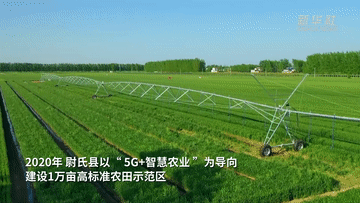 河南：&ldquo;藏粮于技&rdquo;端稳中国饭碗