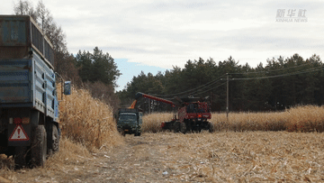 黑龙江黑河:秋收全面完成 秋整地作业正酣