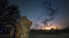 &ldquo;流星雨之王&rdquo;狮子座流星雨18日点亮夜空