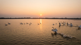 我在现场&middot;我们都是追梦人丨期待见证下一个十年的洞庭故事