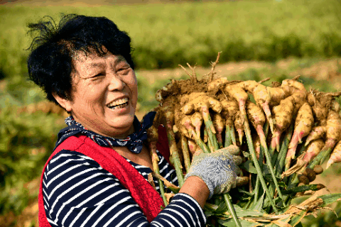中国农民丰收节丨中国色，谁不爱？