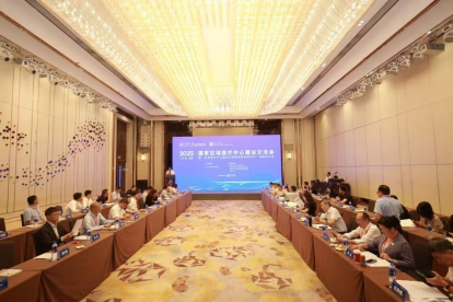 区域医疗中心:探索创新路径 赋能健康中国 区域医疗中心:探索创新路径 赋能健康中国