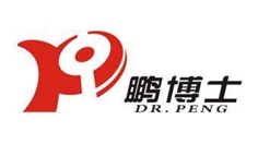 鹏博士电信传媒集团股份有限公司