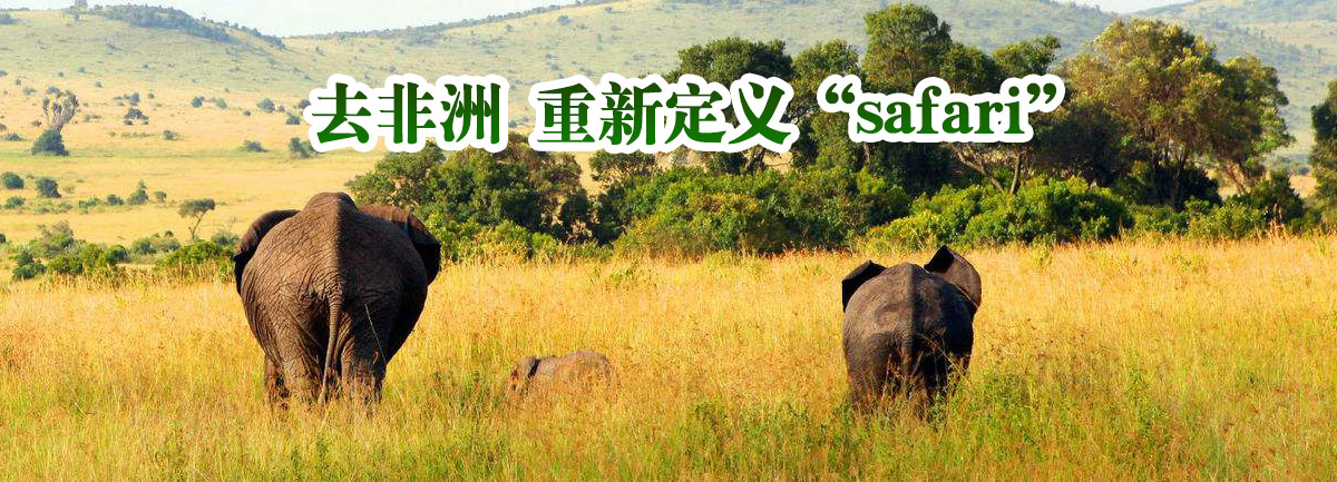 【新華微視評】去非洲 重新定義“safari”