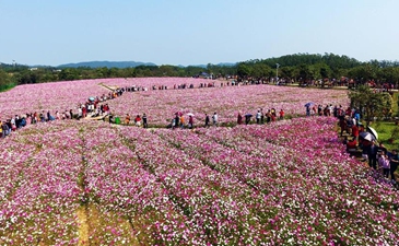 春暖花开尽享美好时光