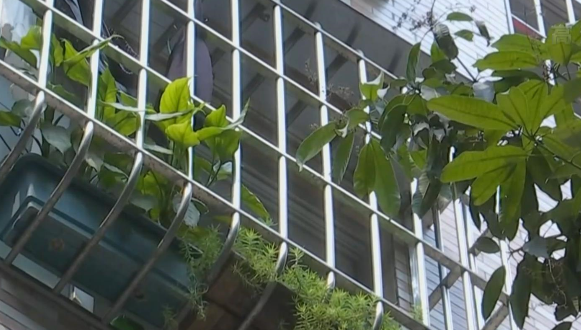 女童吊挂窗外街坊齐力救援