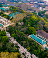 "科技"赏樱新方式来了