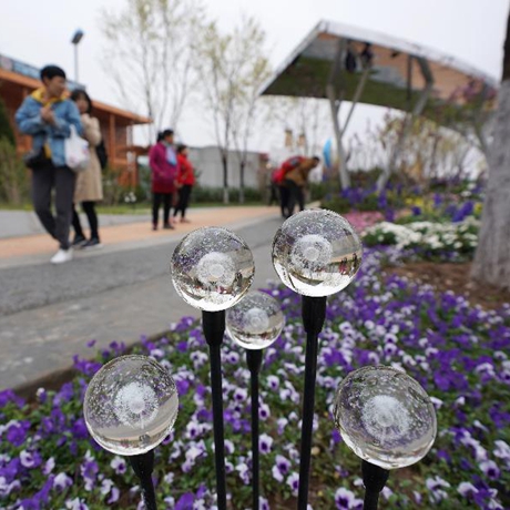 【画重点】真假？！北京又要办一场&ldquo;奥林匹克&rdquo;盛会