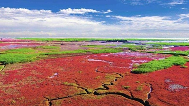 生态中国&middot;天辽地宁红滩舞