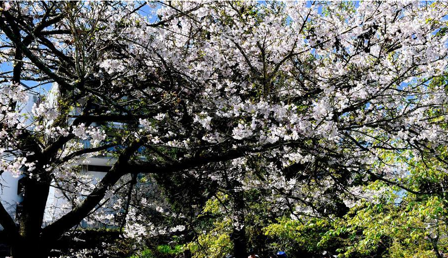 生态中国&middot;山清水秀瞰宝岛