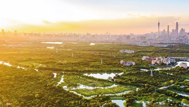 生态中国&middot;城中湿地谱粤章