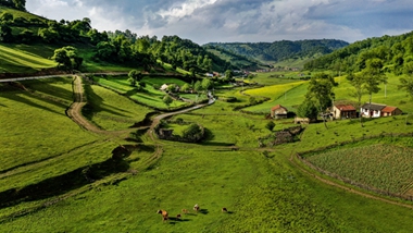 生态中国&middot;拥青揽翠三秦俊