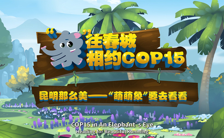 【“象”往春城 相约COP15】昆明那么美 “萌萌象”要去看看