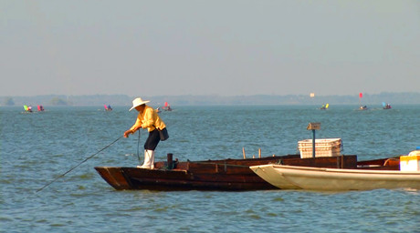 武汉江夏：渔民满载而归迎丰收