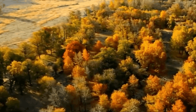 新疆克尔古提秋色斑斓似油画