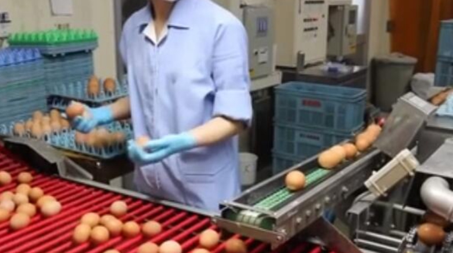 日本：鸡蛋质量把关严 出口量创新高