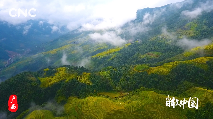 多彩八桂 向海而兴