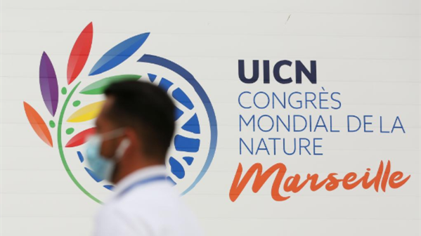 法国：第七届世界自然保护大会——世界自然保护联盟更新“濒危物种红色名录”