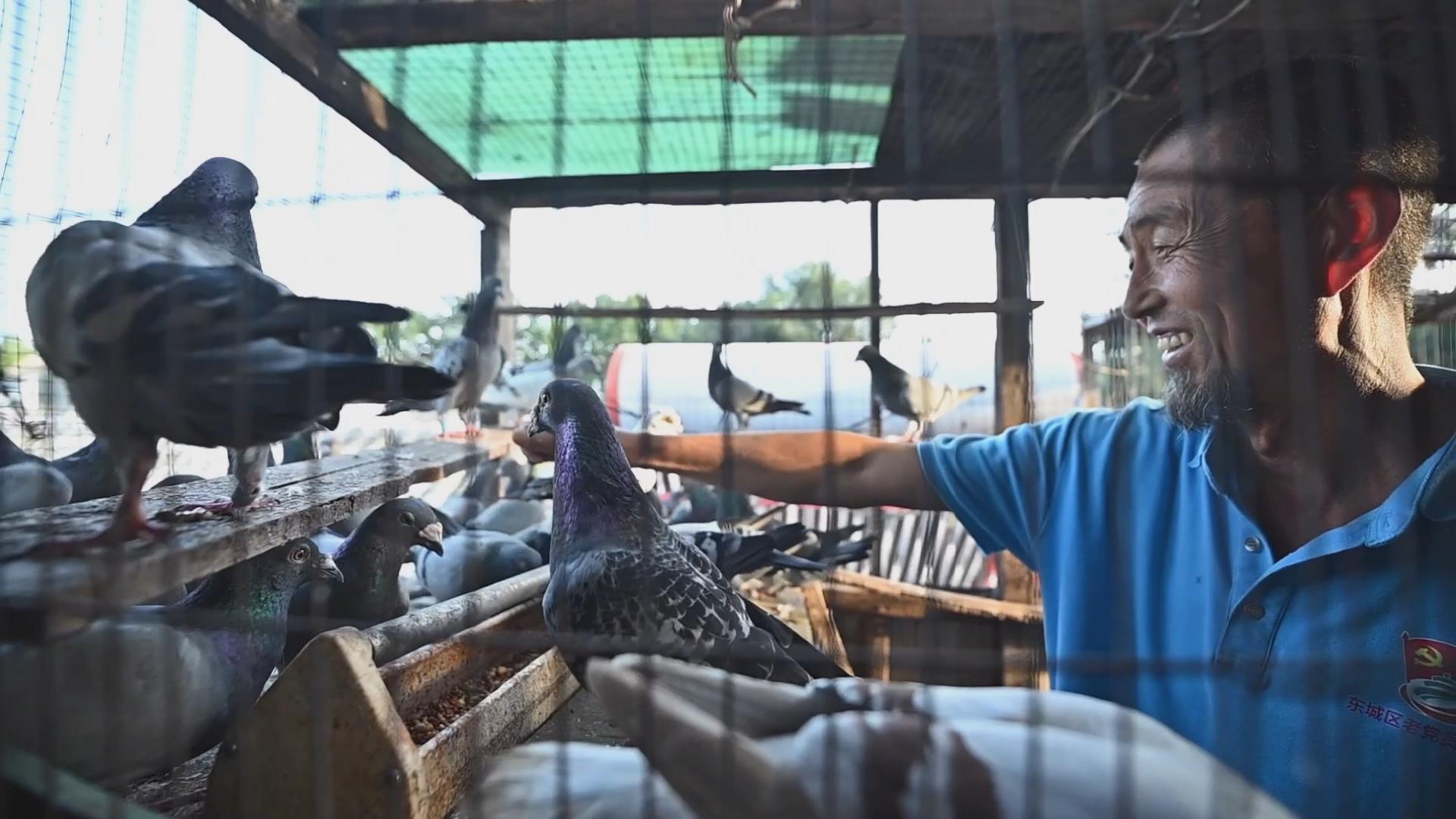 七一，他的鸽子飞翔在天安门广场