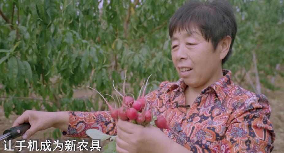 让手机成为新农具