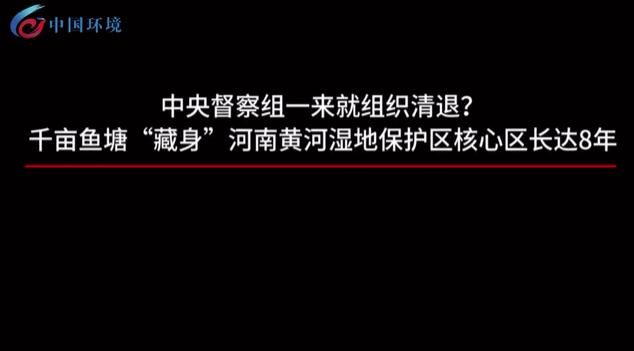 中央督察组一来就组织清退？千亩鱼塘&ldquo;藏身&rdquo;河南黄河湿地保护区核心区长达8年